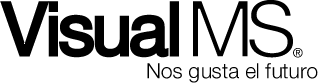 logo Visual MS